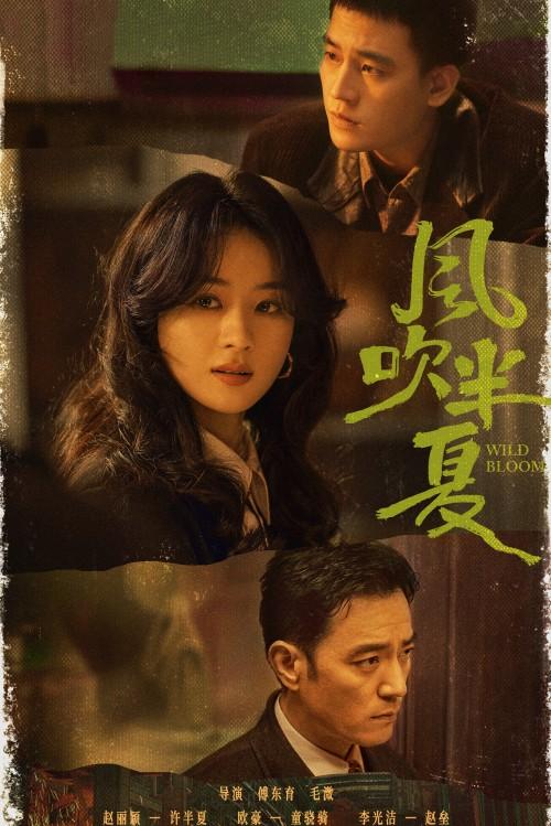 The Wind Blows Pinellia Fu Dongyu is also a director and screenwriter