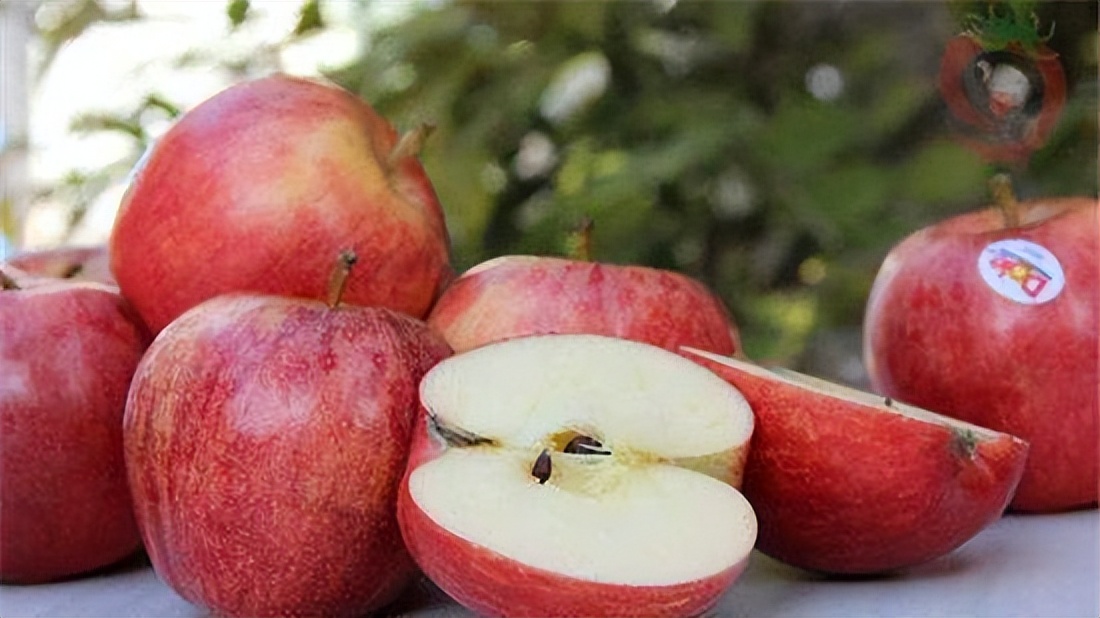 Top 10 sweetest fruits in the world, how many have you eaten? iMedia