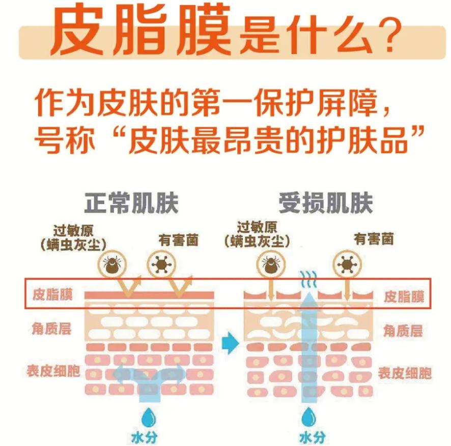 What is the mud from the bath? Surprising under the microscope, no