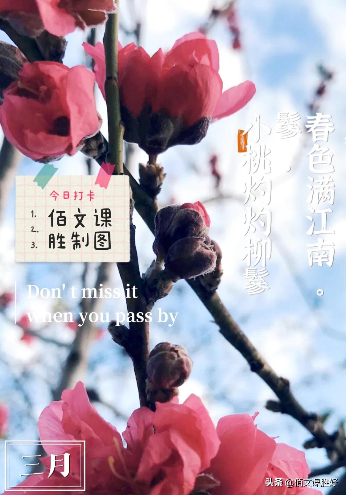 数旬记32 22年3月上旬 春风如贵客 一到便繁华 资讯咖