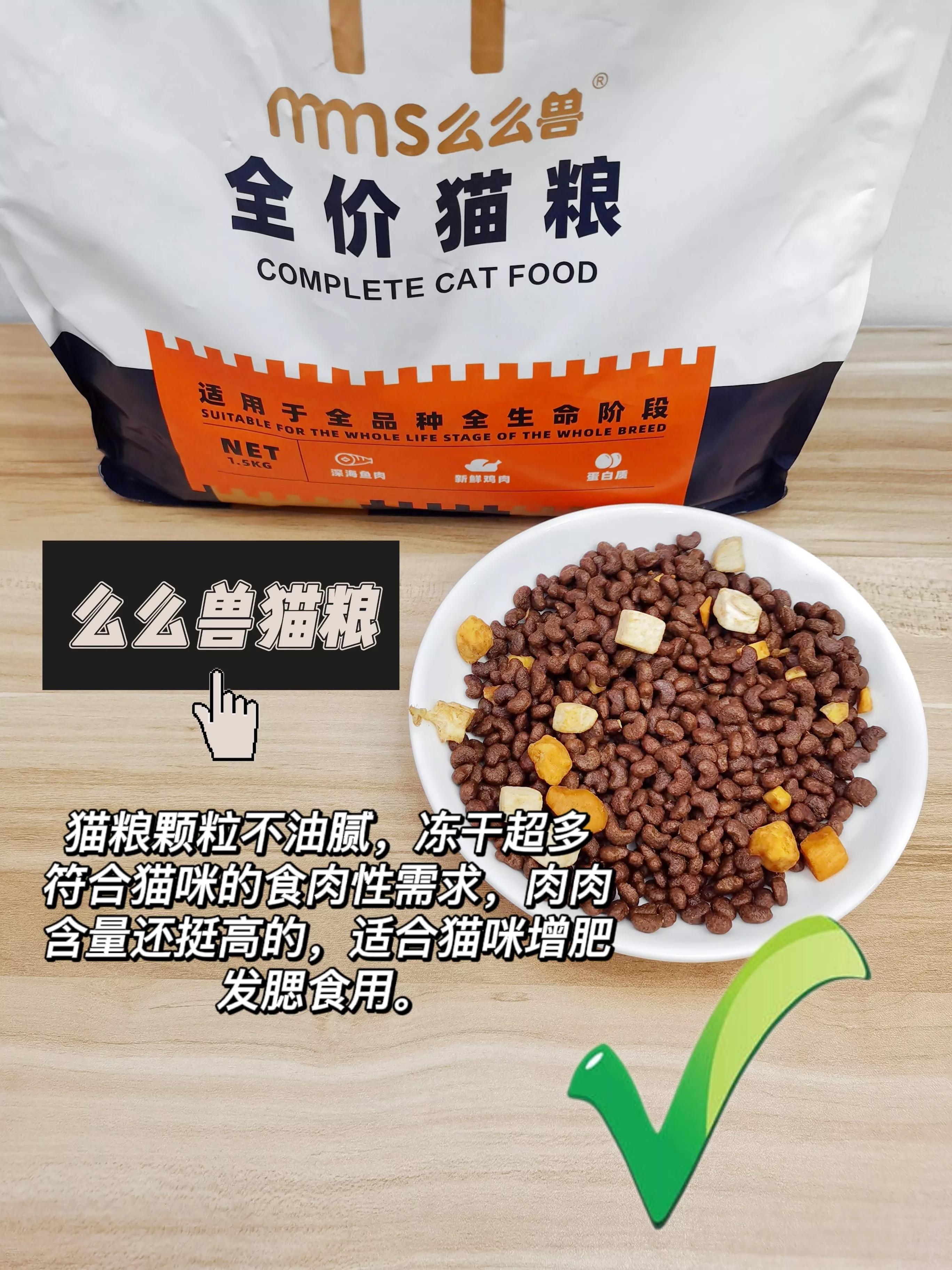 How to choose the right cat food for cats in different months? iNEWS