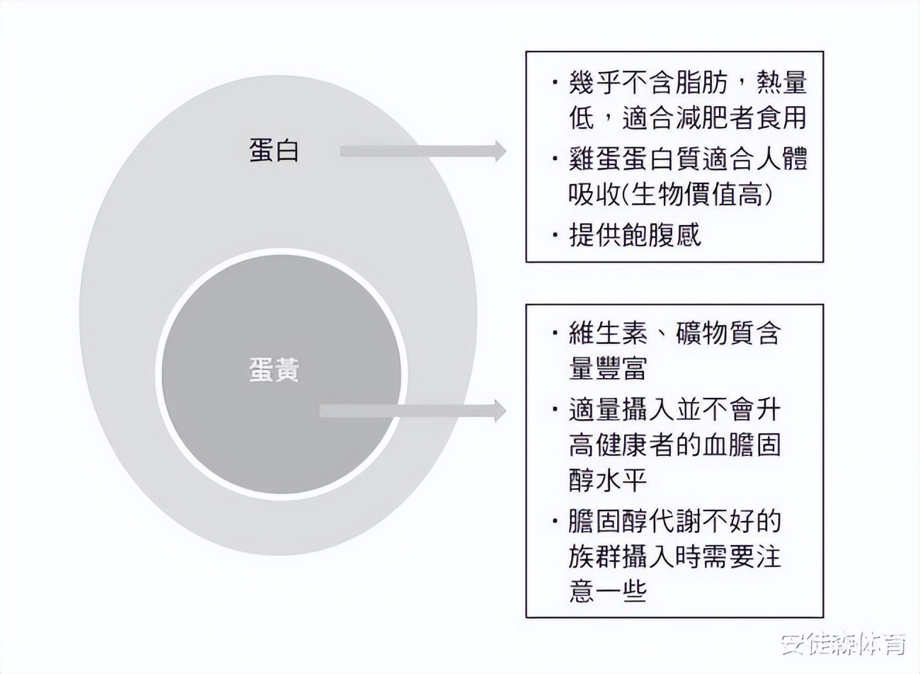 Eat more meat to lose weight?Learn the benefits of a high protein diet