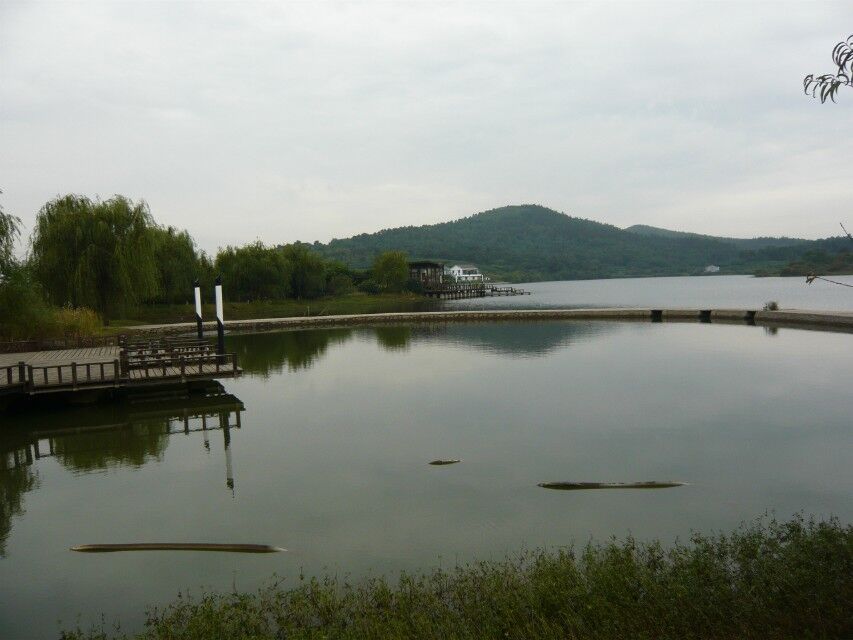 Jinling Tea Culture Tourism Village - Huanglongxianchun Tea is on the ...