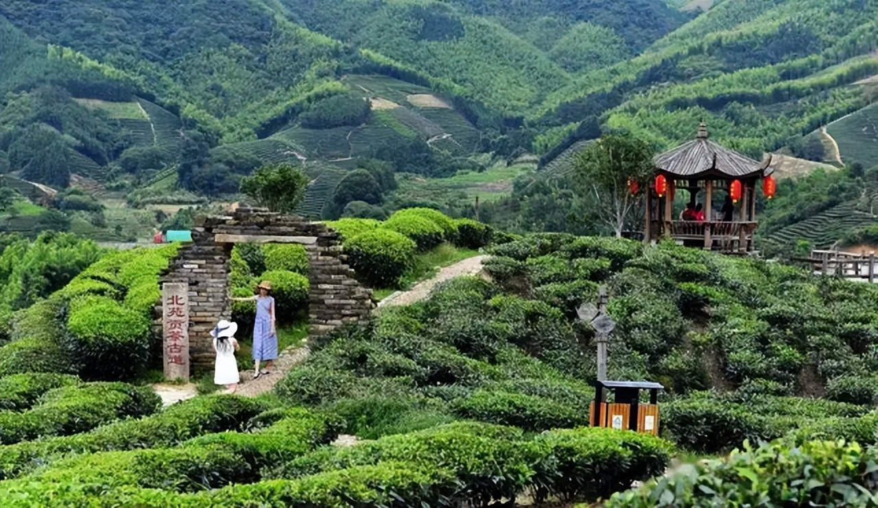 Inheritance and development of Beiyuan tea culture - iMedia