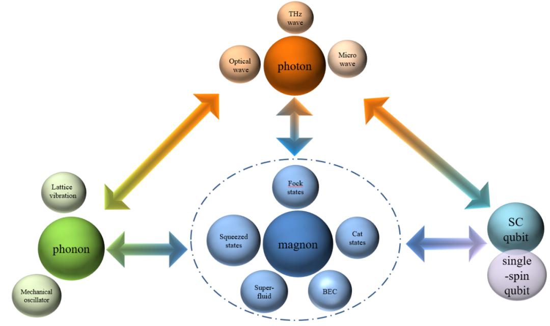 Quantum The Encounter of Spin Wave Electronics and Quantum