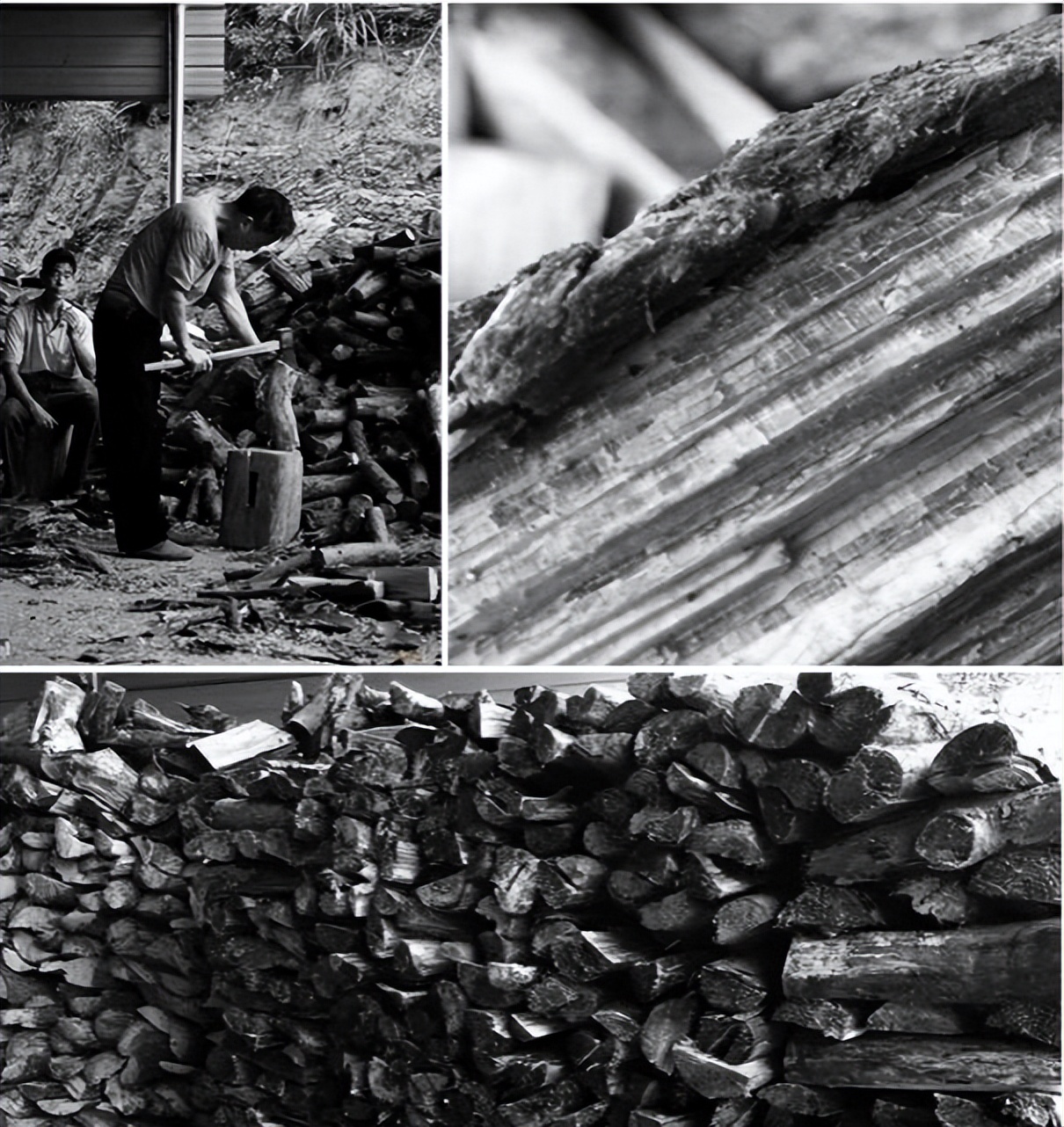 Nine questions about the wood kiln!Teach you how to avoid pits in wood