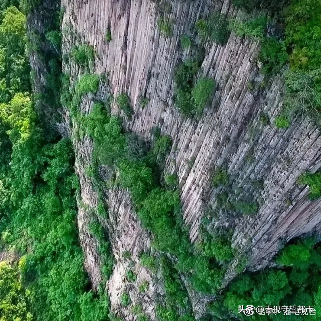 Meet the most beautiful travel season ~ visit, eat and play to Tonghua ...
