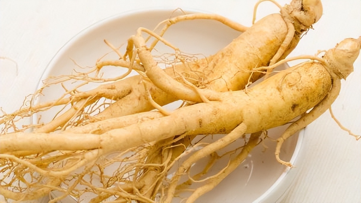The "good partner" of American ginseng has been announced, drink it