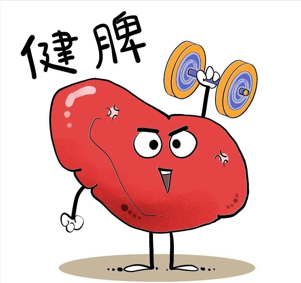 Kidney yang deficiency can't be replenished? First use Fuzi Lizhong ...