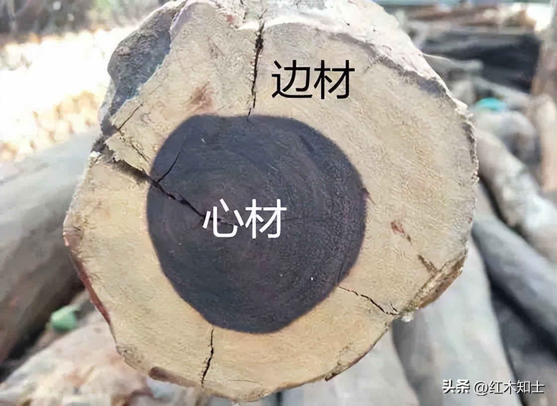 Why is the price of mahogany uneven? Wang Yi mahogany furniture online answer iNEWS