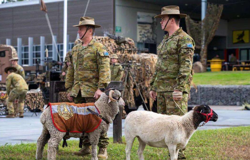 How many troops does Australia have? iMedia