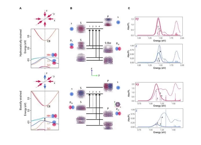 Phonon coupling—CdSe, CdS core and electrons in shell quantum dots - iMedia
