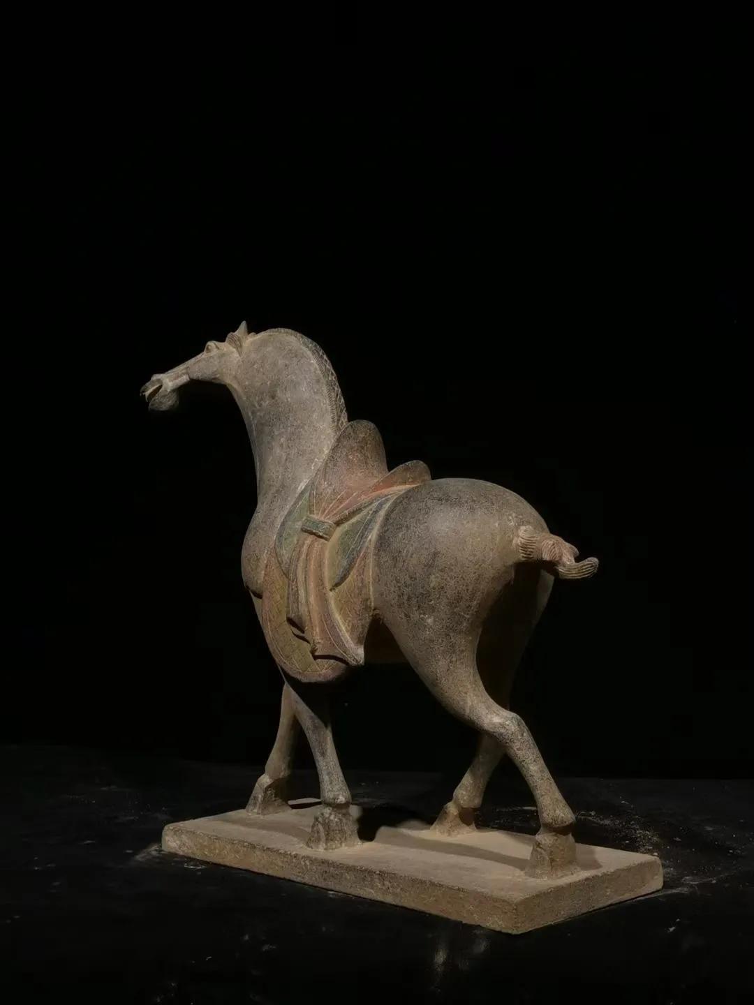 Tang, bluestone horse iNEWS