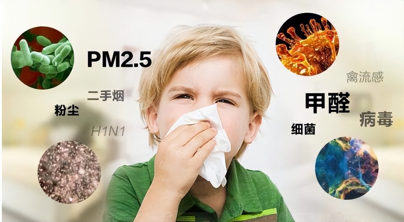 These 4 things in the family are called "big formaldehyde households