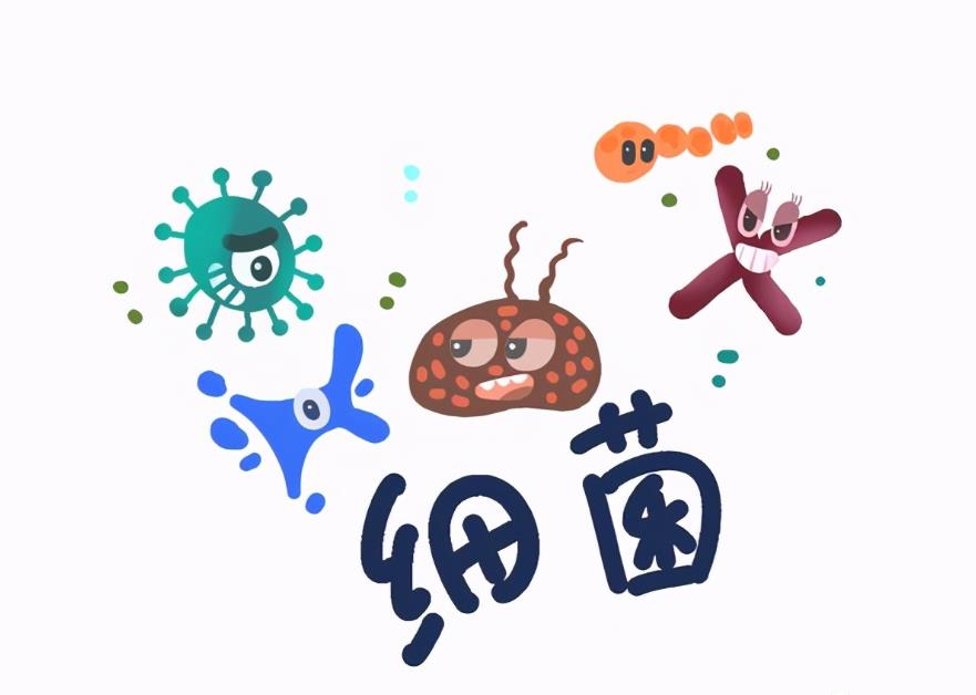 A disinfectant that can deodorize and sterilize? iNEWS