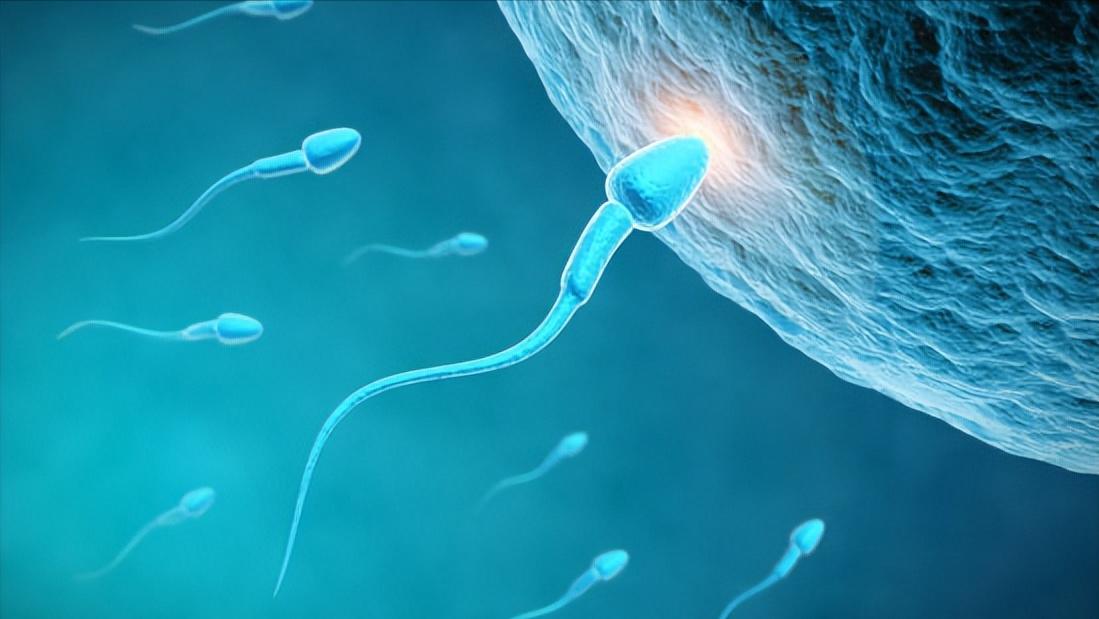 Men's longterm "abstinence", sperm quality will be better or worse