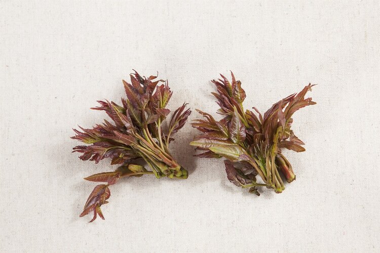 The man suffered multiple organ failure after eating scrambled eggs