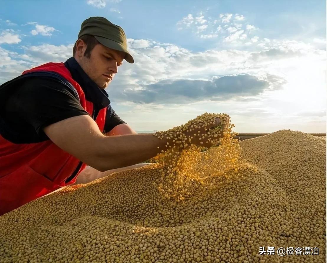 U.S. media: China is shifting to buy Brazilian soybeans, which is ...