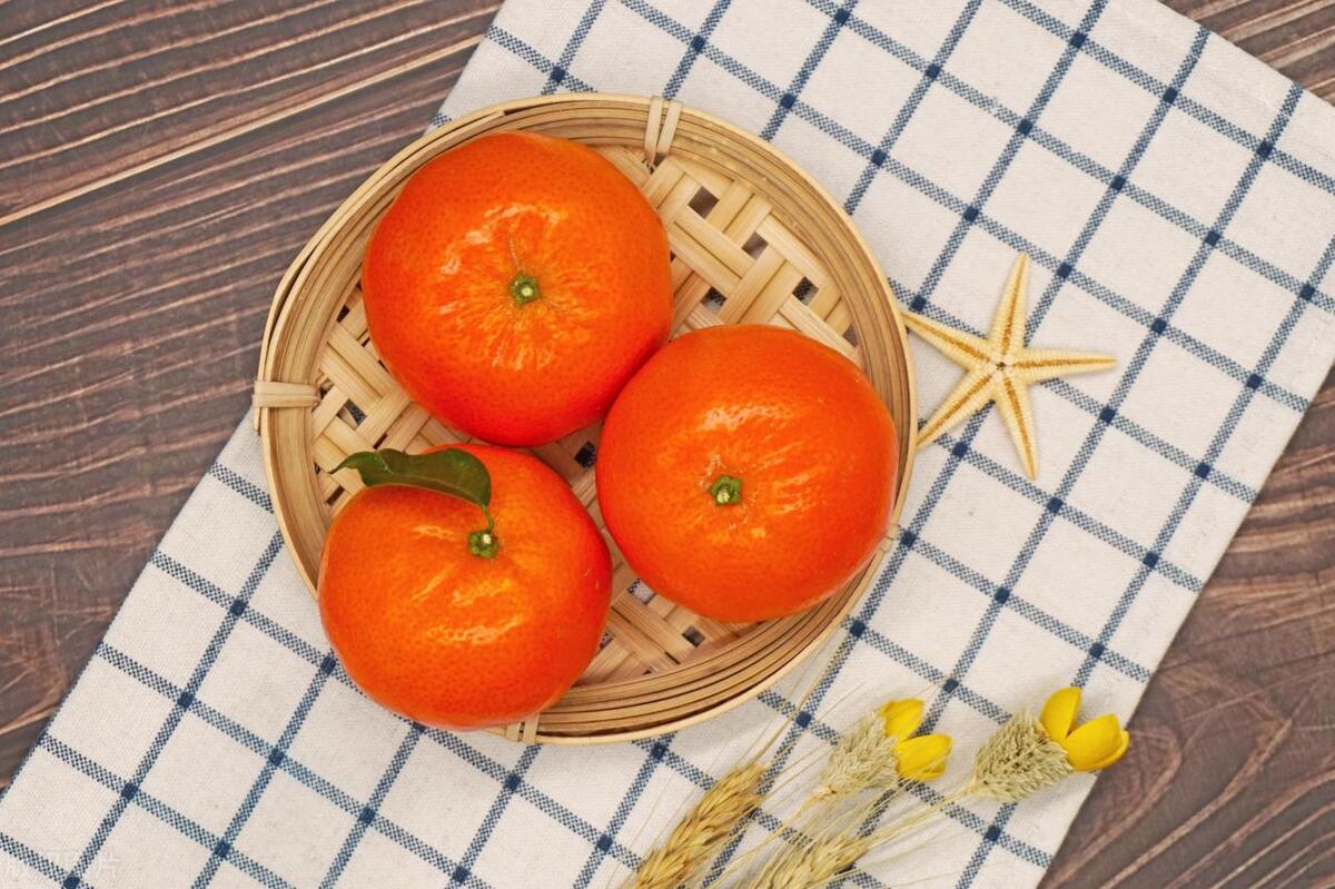 What is the difference between navel oranges, ponkans and tangerines