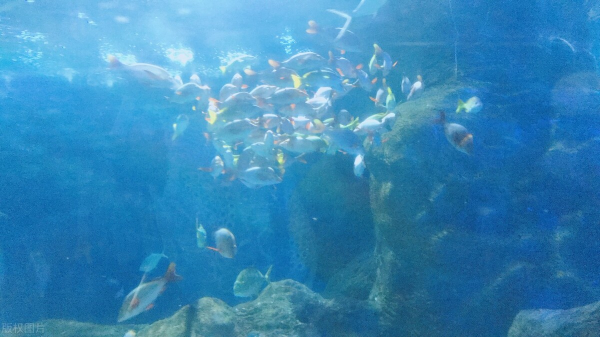 Top 10 MustGo Sightseeing Spots in Dalian, Take You to Travel between