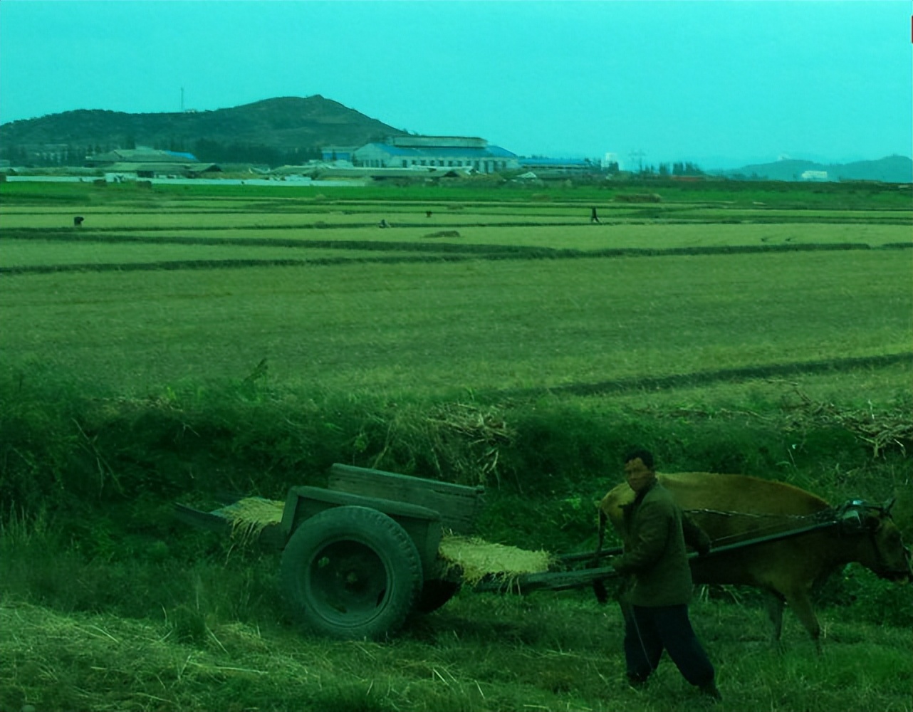 Korean Rural Man What is it like to live in rural North Korea? - iMedia