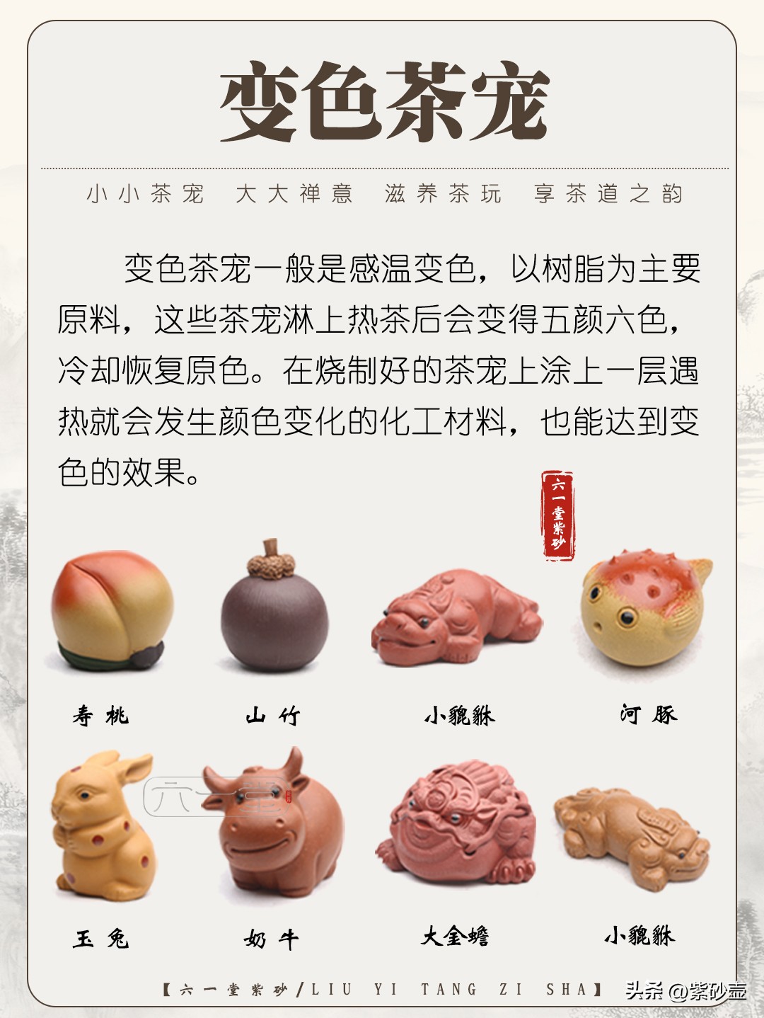 What is the use of tea pets, come in and see! iMedia