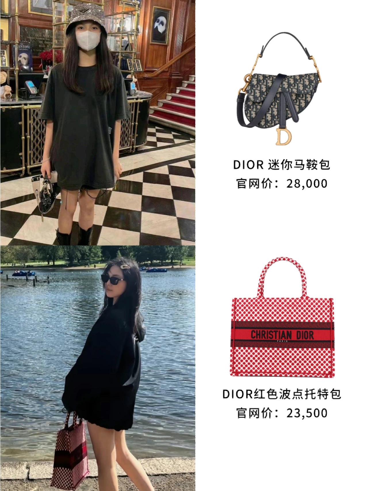 Shiling Sack Inventory of Wang Shiling's same bag | Winning life at the starting ...
