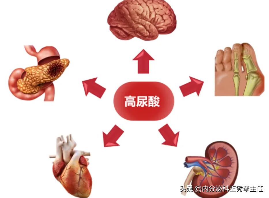 What are the dietary requirements for patients with renal disease with