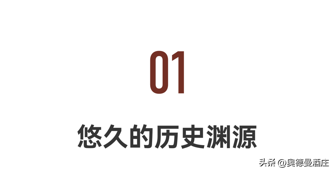 Qihong Who is the Chinese wine king iNEWS