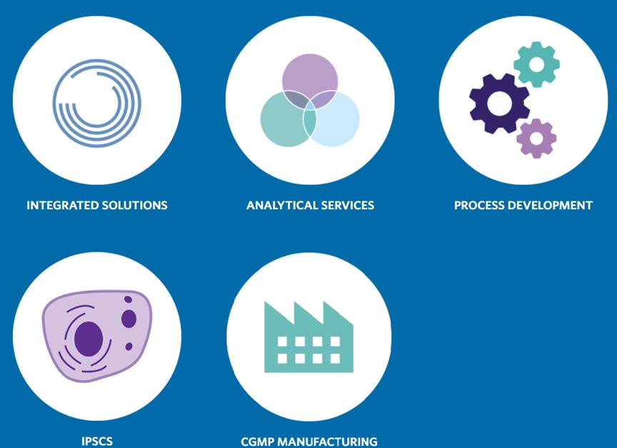 Inventory of 40 stem cell therapy companies iNEWS