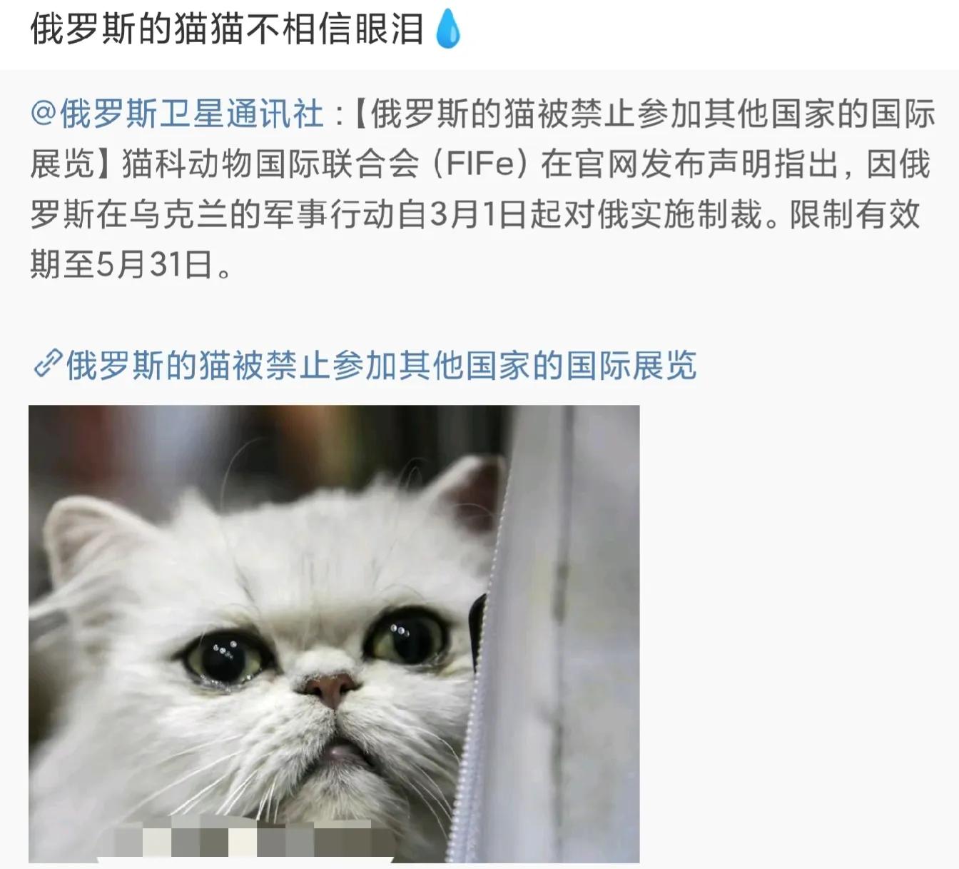 Russia's "cats" have been sanctioned, and "trees" have also been