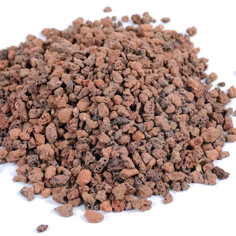 How to choose the best soil for growing flowers iNEWS