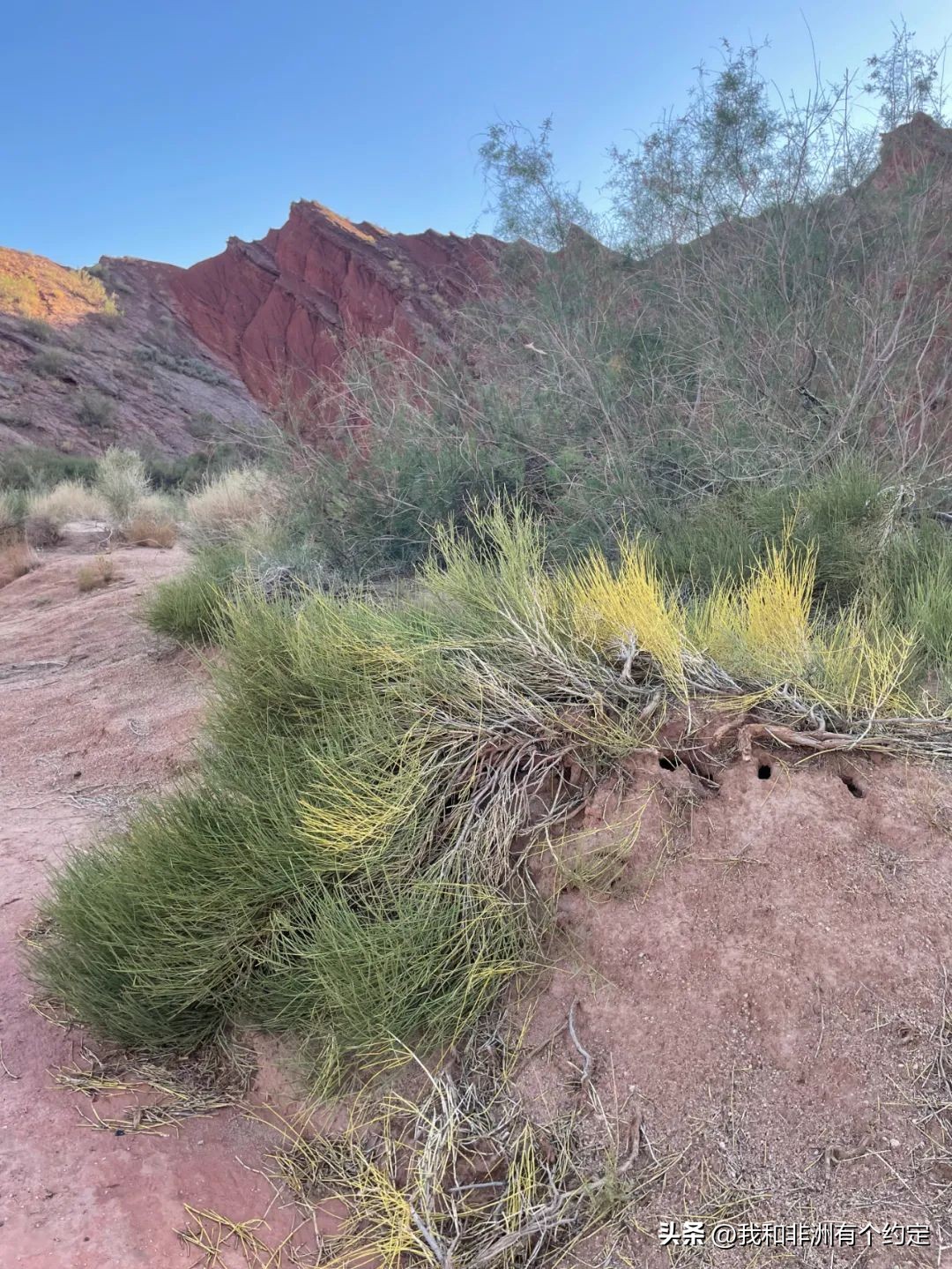 Tomur Grand Canyon at the foot of 