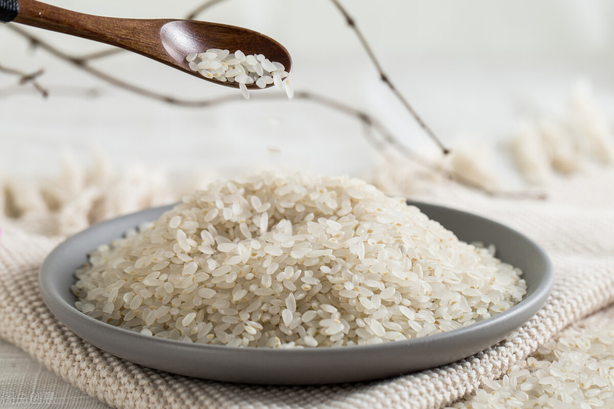 What kind of rice is germ rice?Does it really have so much nutrition