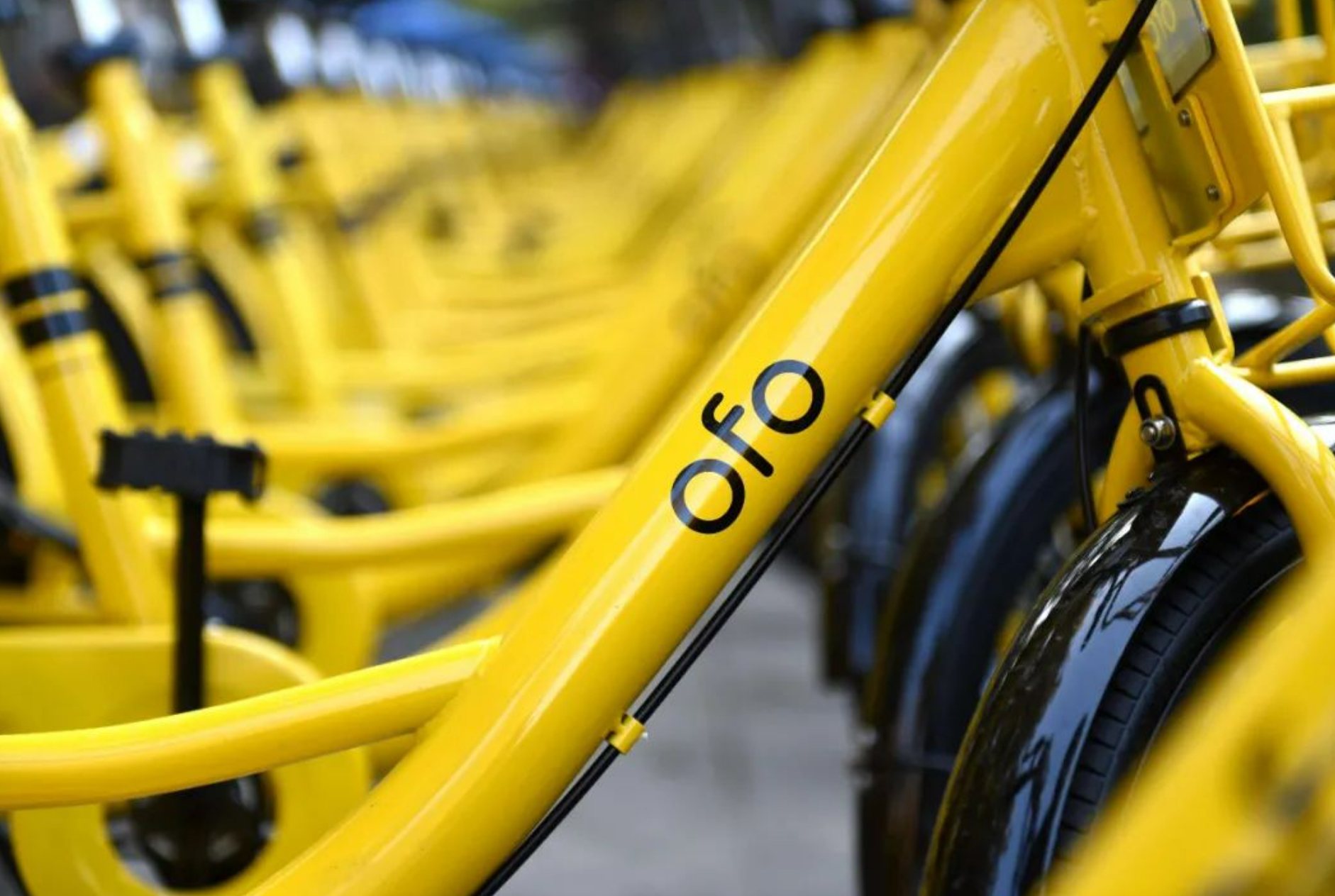Dai Wei, the founder of ofo, opened the "US version of Ruixing": a ...