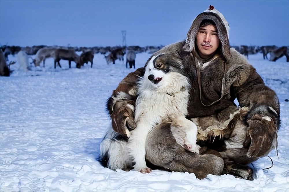 Why do Inuit live in igloos in the Arctic? don't you feel colder iMedia