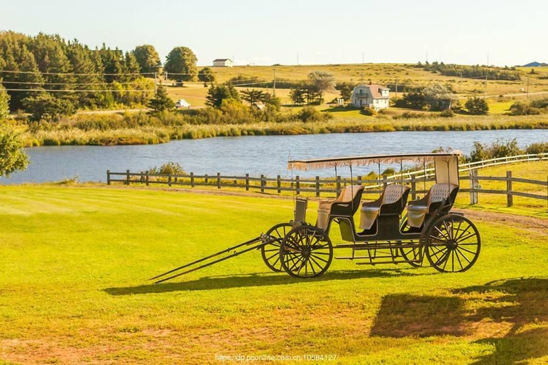 The adage that has been fooled for centuries continues to be fooled ...