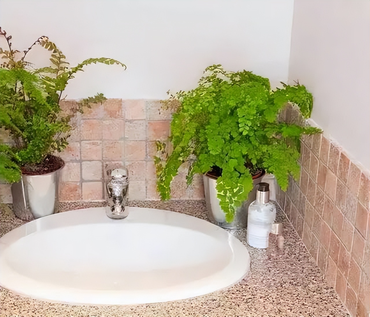 The bathroom is "damp" and smells bad?6 kinds of "smellabsorbing