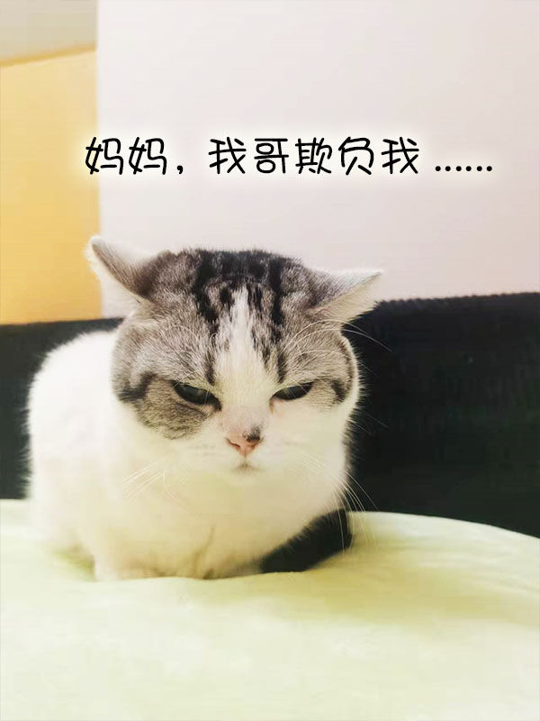 Do cats get squished when they sleep with people? iNEWS