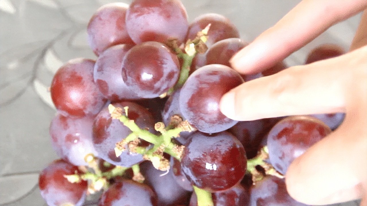 Folklore Eat more grapes after pregnancy, and the baby will have round
