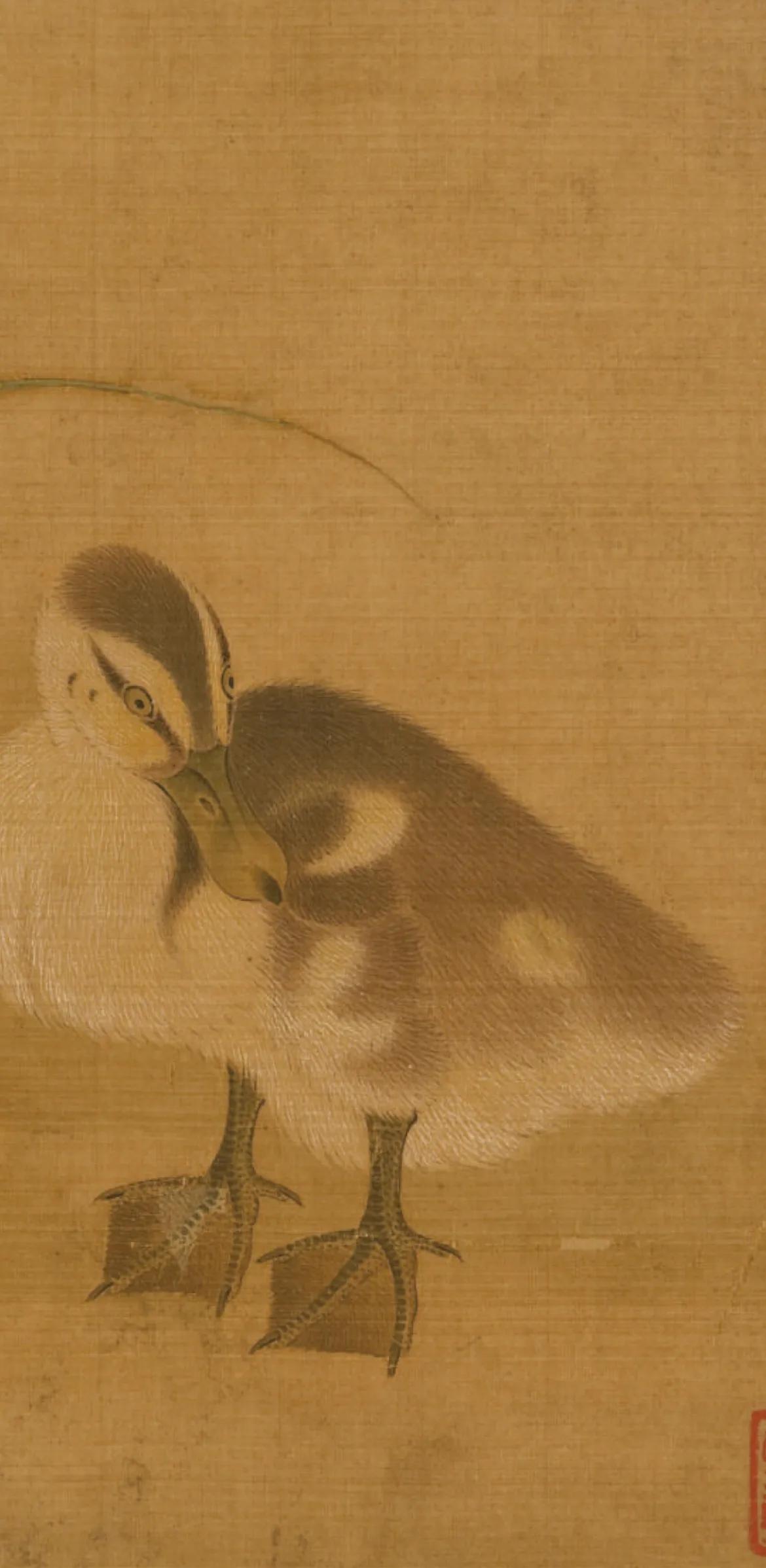 一代花鸟大家，集历代花鸟于大成，兼工代写，太养眼, image size:1170x2396