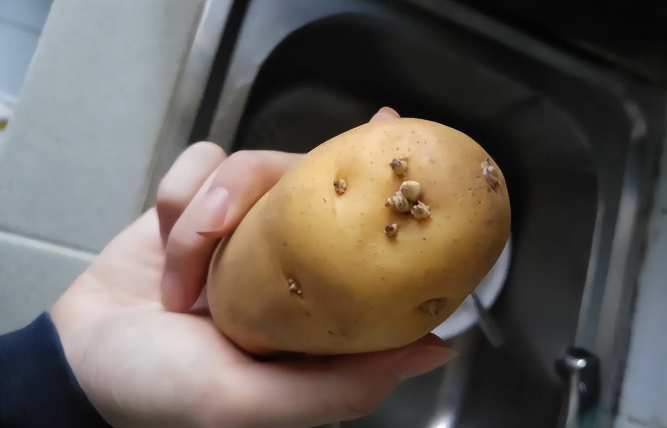 Is it poisonous to eat sprouted potatoes?Whether you can eat or not