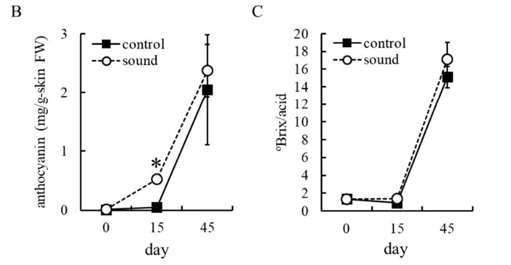 Do plants, like animals, have "senses" such as hearing, seeing
