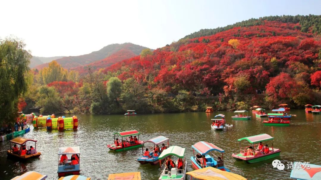 Feng Rusong Revisiting Hongye Valley Feelings - iNEWS