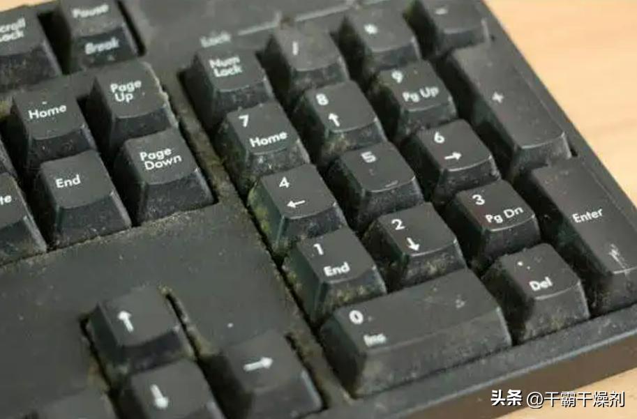 Do plastic products also get moldy? iNEWS