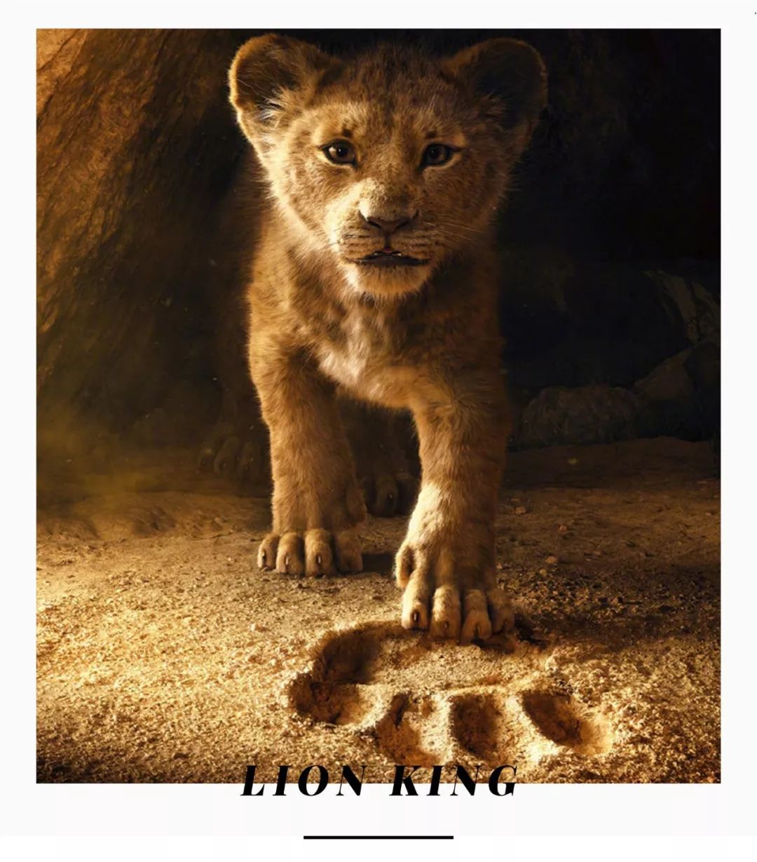 Simba encountered many difficulties and obstacles in the process of growing up, and finally