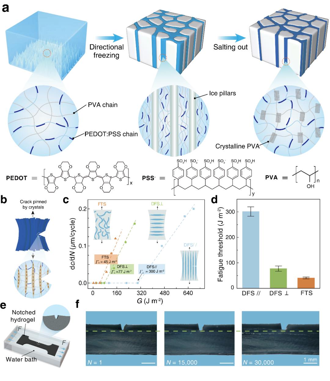 Fatigue-resistant conductive polymer hydrogel strain sensors for ...