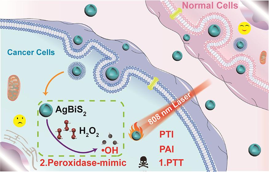 Ultrastable AgBiS2 Hollow Nanospheres - iNEWS