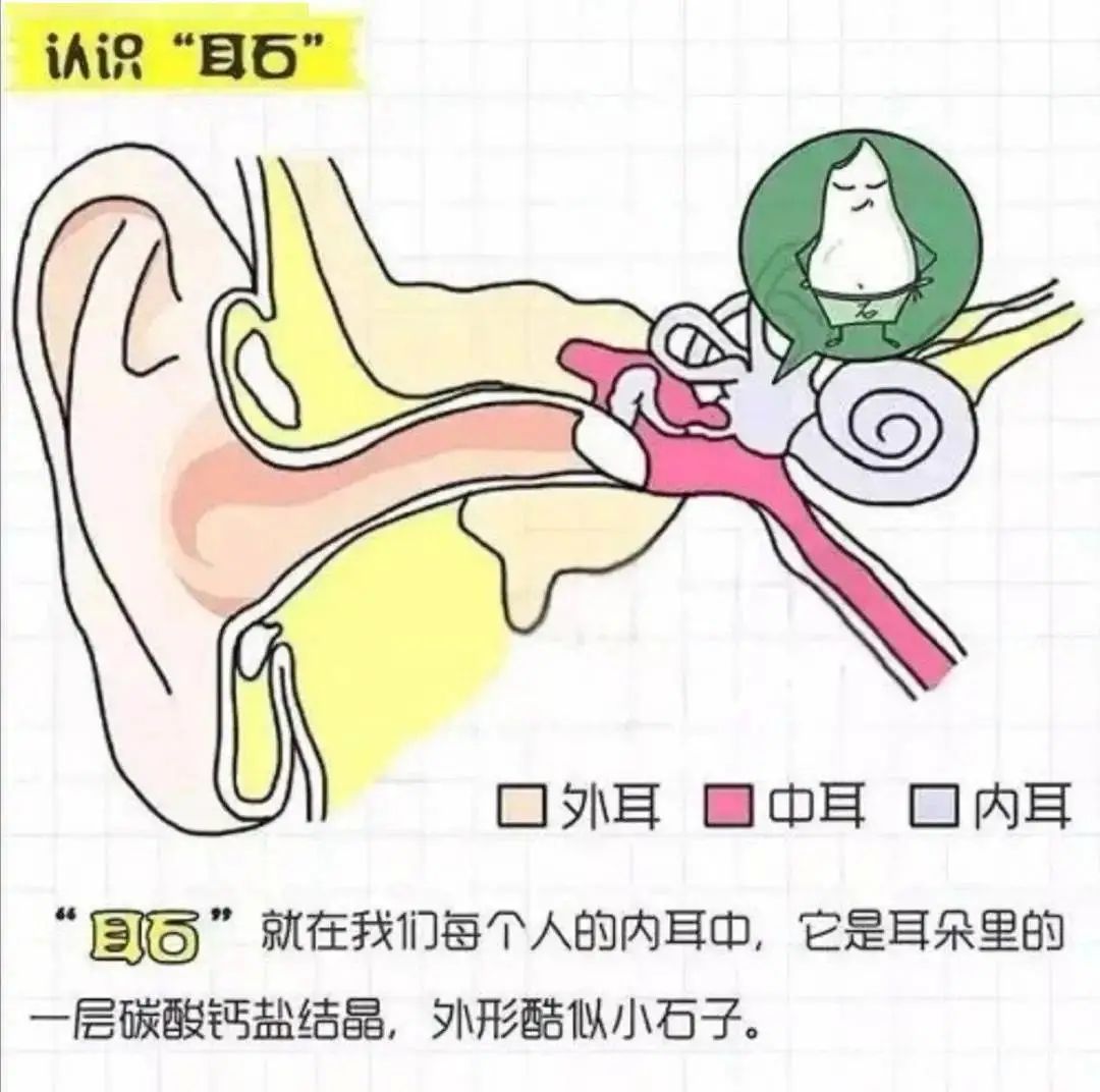 a-45-year-old-man-suffered-from-dizziness-long-term-cure-and