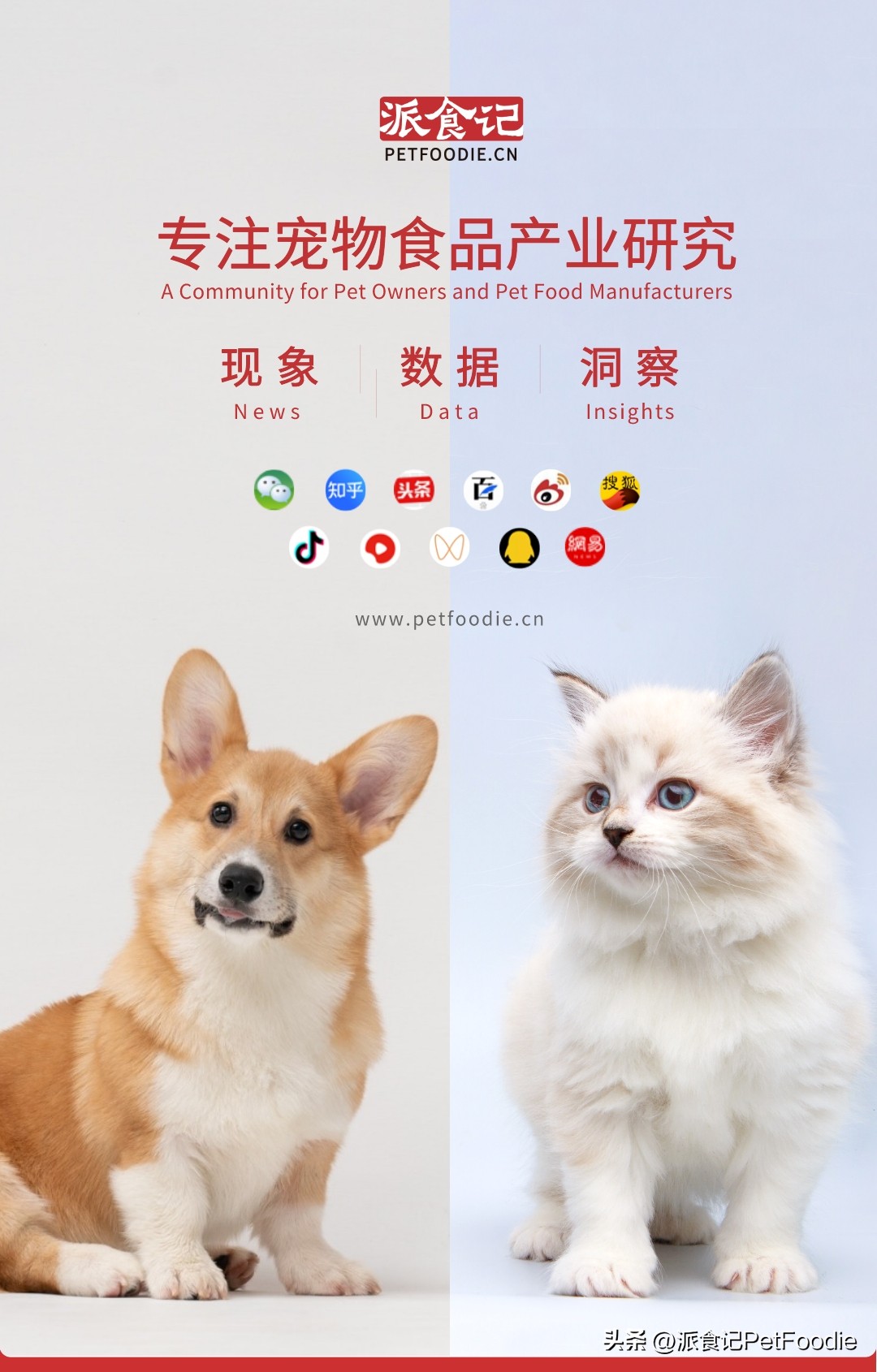 5 major trends in the development of new pet food iNEWS